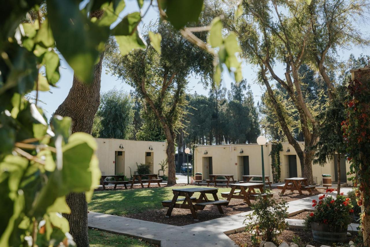 Kibbutz Tourism פארק נופש אורטל
