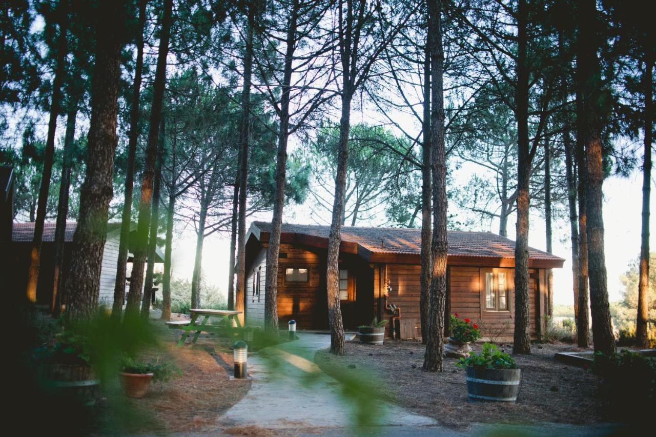 Kibbutz Tourism 5* אורטל